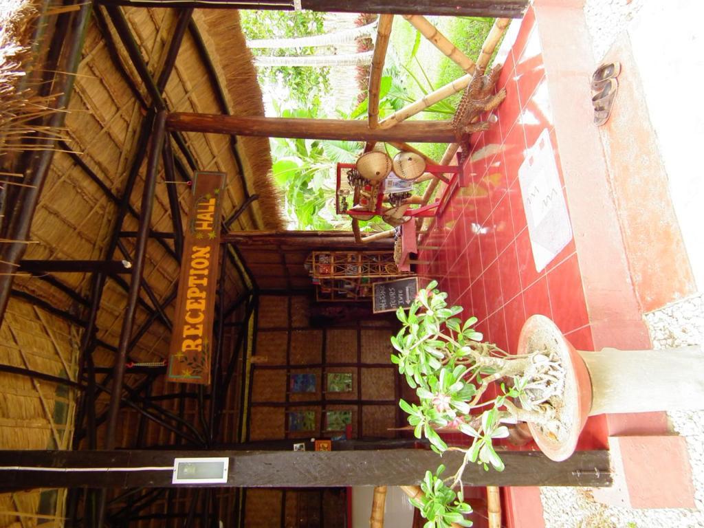 Cooper'S Beach Resort Lucbuan Bagian luar foto